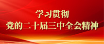 學習貫徹黨的二十屆三中全會精神